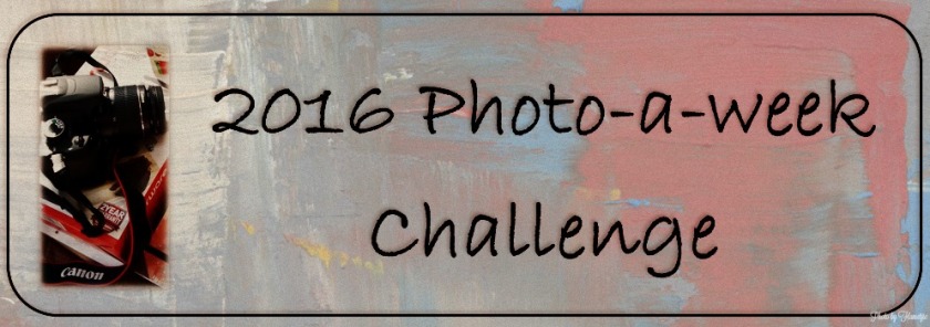 Photo_a_Week_Challenge